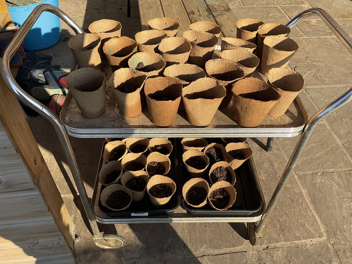 stpeters2_8's tweet photo. Spring is in the air 🌹💐 we love growing and planting and learning through nature in Reception ❤️ #EYFS #childledlearning #gardenersworld #springtime https://t.co/F3xq9p83kz
