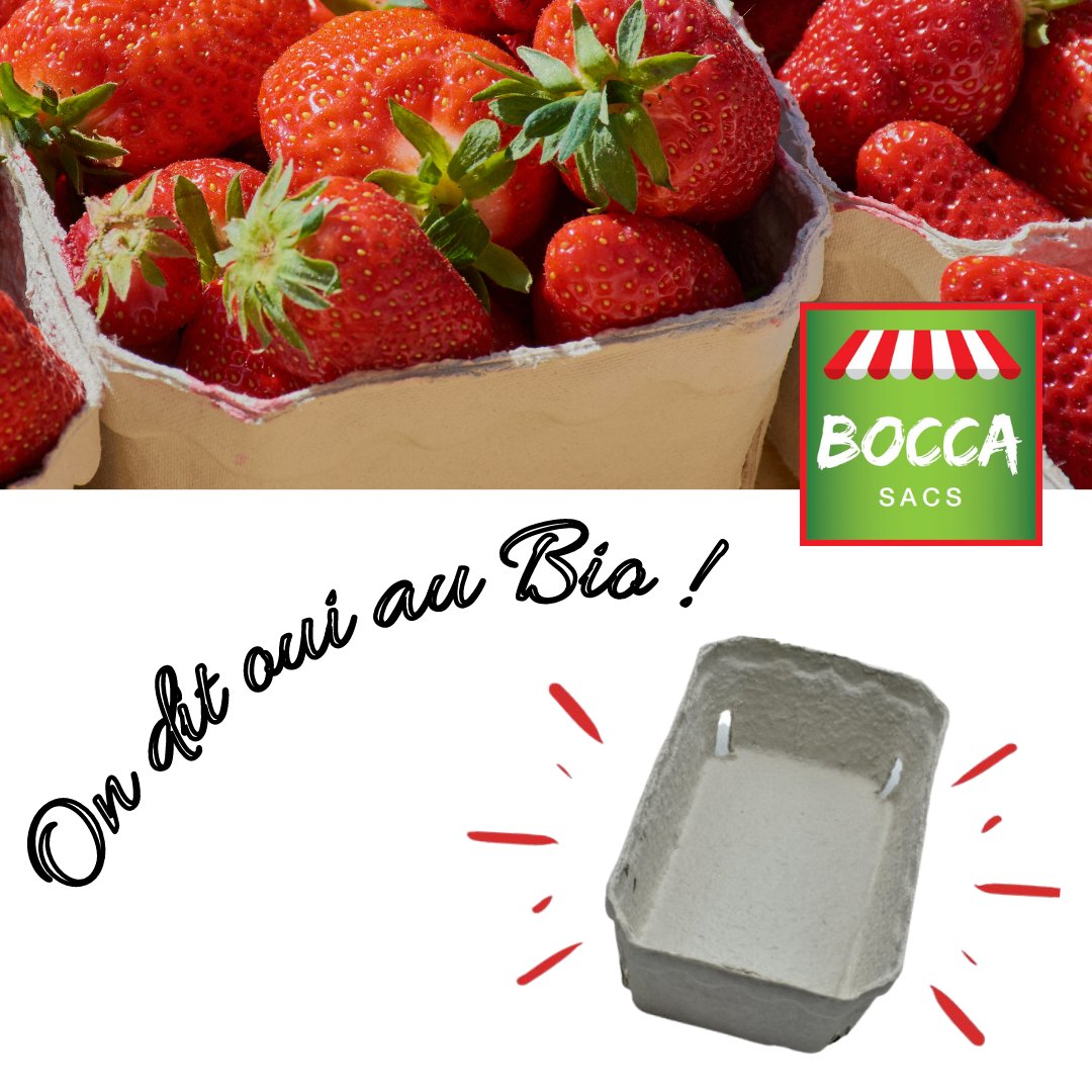 bocca_sacs's tweet photo. C'est un grand Oui pour le Bio ! 🍓

#rungis #rungismin #boccasacs #fruitsetlegumes #fruitsetlegumesdesaison #barquettes #cellulose #grossiste https://t.co/7fNrHgDQqF