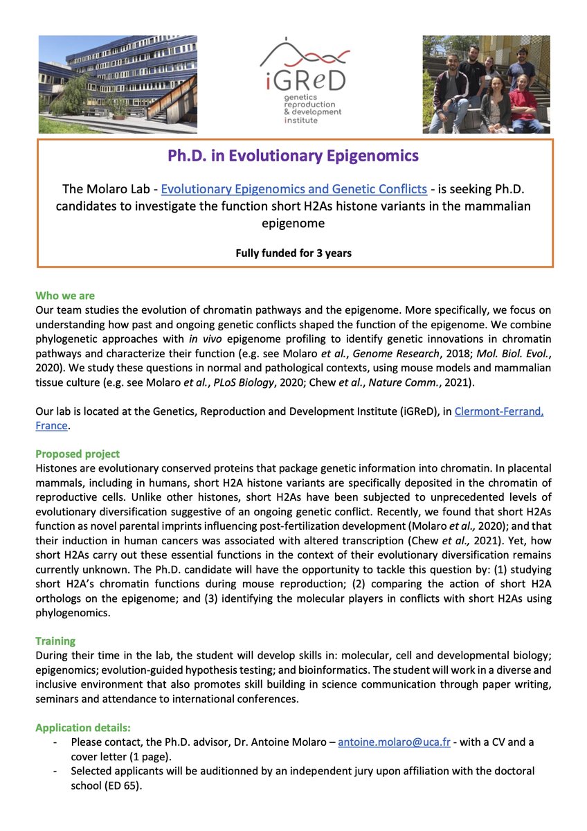 Hello World!
Another beautiful day <a href="/GReD_Clermont/">Institute Genetics, reproduction & development</a>, in the #MolaroLab! Big news📣: funded Ph.D.position available. So, if you like Evolution, Chromatin and #geneticconflicts, come join us! We are a fun and inclusive team! Spread the word!
#bandpicture #newPI #proudPI