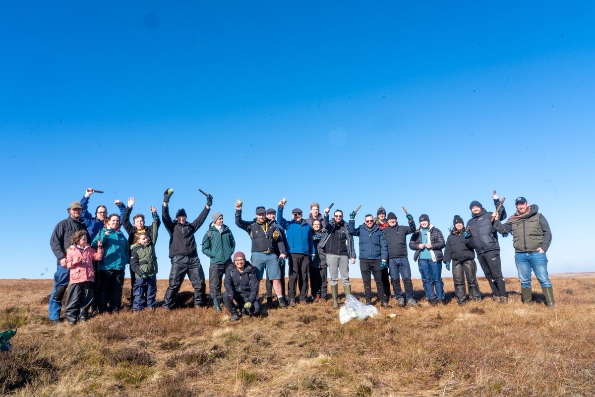 AnswerDigital's tweet photo. A big shoutout to all the Moss Planters, accomplishing to plant 2,800 moss plugs - You’re all unbeleafable! (Pun of the day to kickstart your Thursday).

#mossplanting #sustainable #environment #positive #teamwork #workfriends #AnswerDigital https://t.co/RbkEKPQnk1