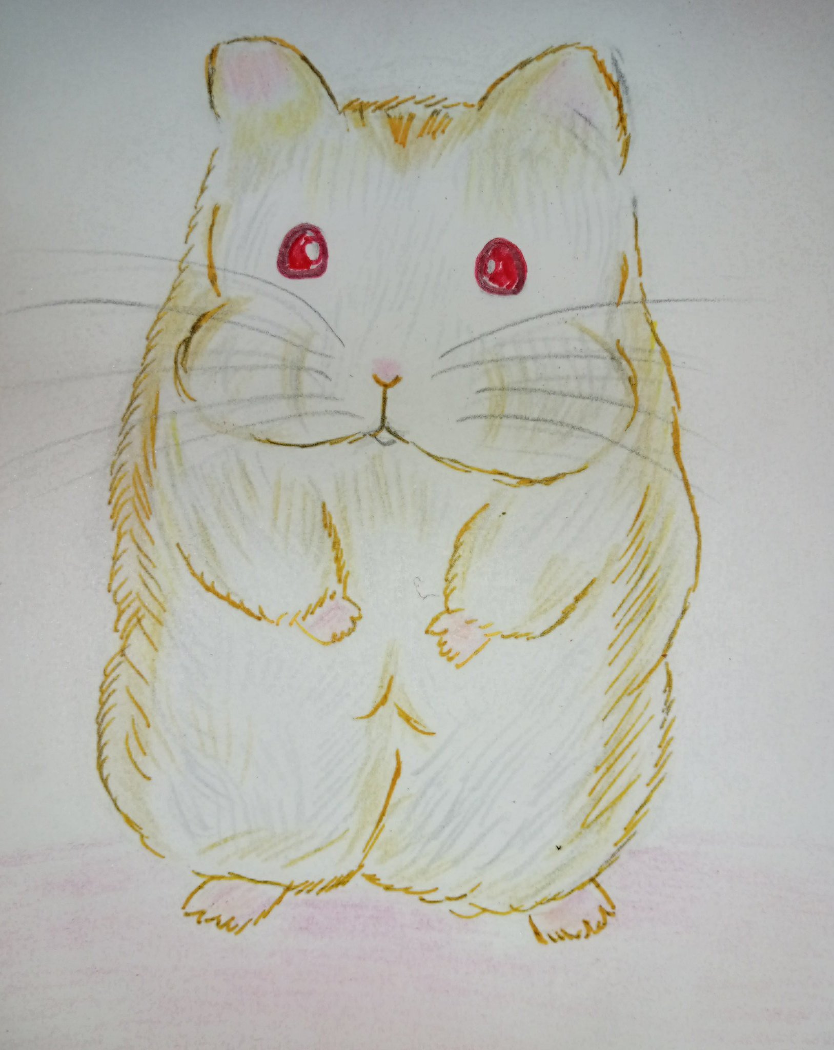 菫 今月描いた絵を晒そう アナログイラスト ジャンガリアンハムスター ロボロフスキーハムスター ジャンガリアン ハムスター ハムスター部 ハムスター 今月描いた愛ハムスターりんごたん シルクたん こでち ナッツのイラストです T Co