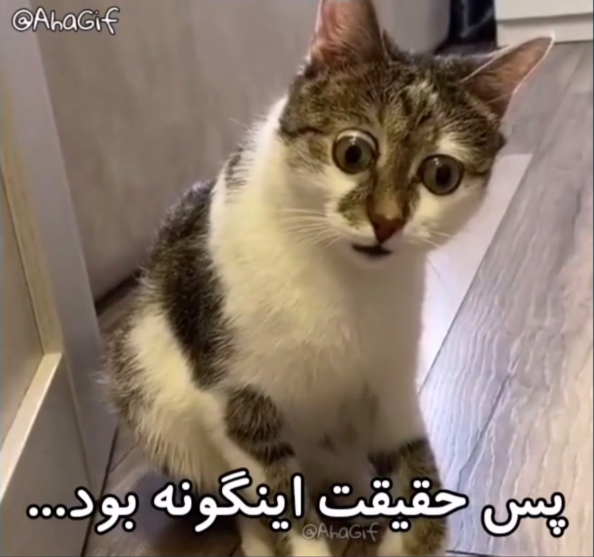 Esteem_fa's tweet photo. @Empoy_pwnz est**m***[@]gmail[dot]com
*************
چه هوش مصنوعی قویییی https://t.co/X0BrKlRi3M