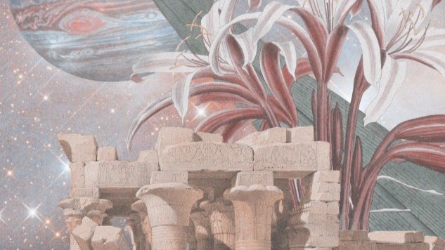 Whalevibes tweet media