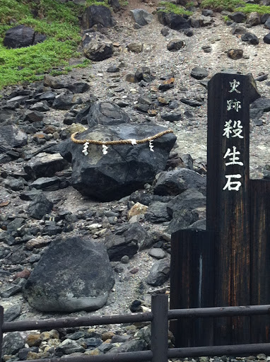 MaheshN111's tweet photo. Tamamo no Mae aka Hakumen no Mono is freed.
Destruction is on its way 😭
#killingstone #Japan https://t.co/OKKHDS2FLs