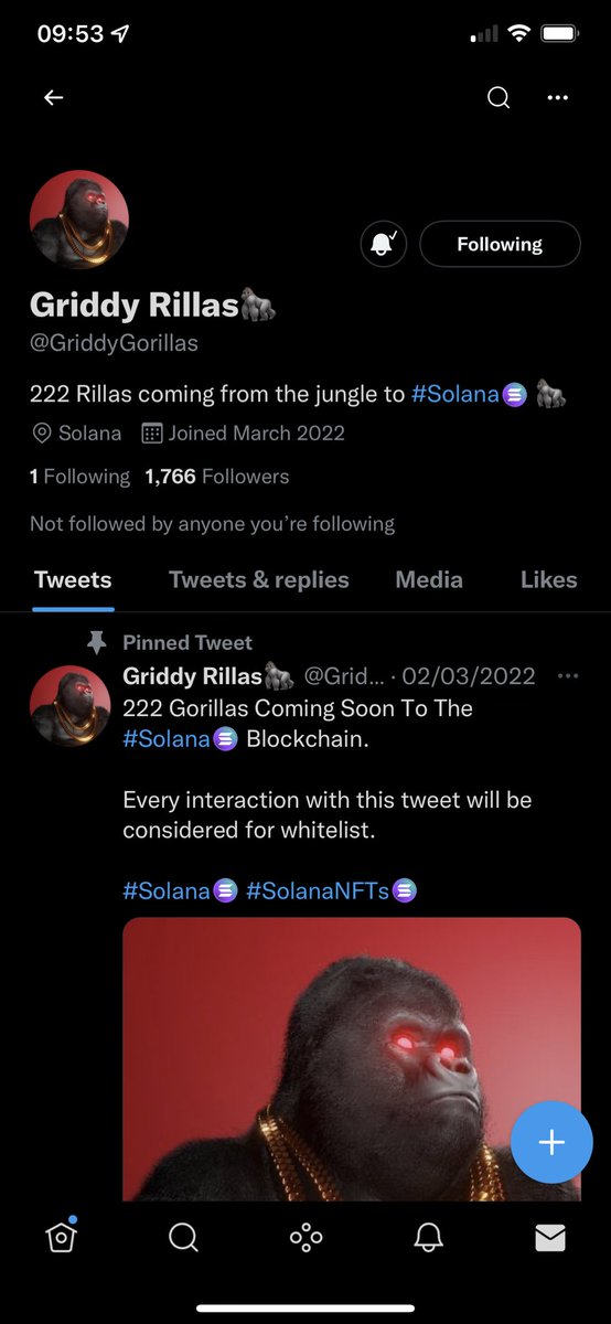 TheSolDon's tweet photo. @SolanaaGang @GriddyGorillas https://t.co/gHM0XVvfYl