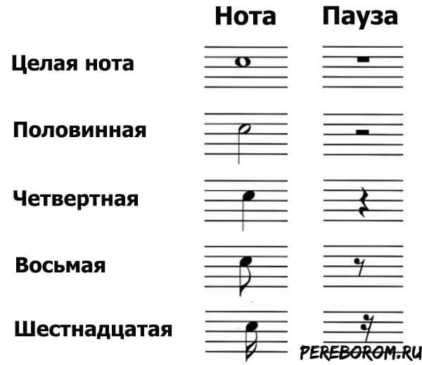 Значение музыкальных нот. Таблица длительностей и пауз. Нотная грамота Длительность нот. Основные длительности нот и пауз. Ноты паузы длительности нот.