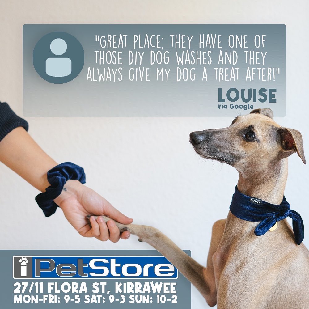 iPetStore_au's tweet photo. Here’s what the locals are saying 

#ipetstore #kirrawee #sutherlandshire https://t.co/Fec5SatOgD
