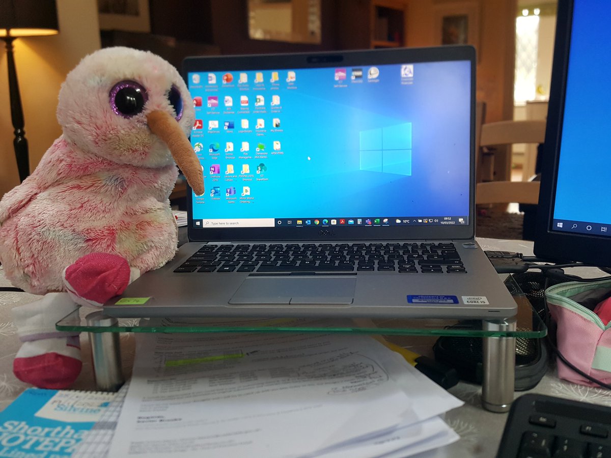 EmmaMavin73's tweet photo. @SalterleeClass1 Kiwi is keeping me company while I work from home today Grace 😍 https://t.co/gwviiTs0Mm