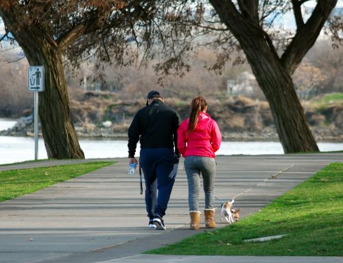 Healthonics's tweet image. Chronic #stress can be harmful as it increases the risk of many health ailments. Don&apos;t worry, a simple exercise like regular walking can help us. #Walking results in the release of #endorphins in our body which stimulates relaxation, improves the mood and reduces stress.