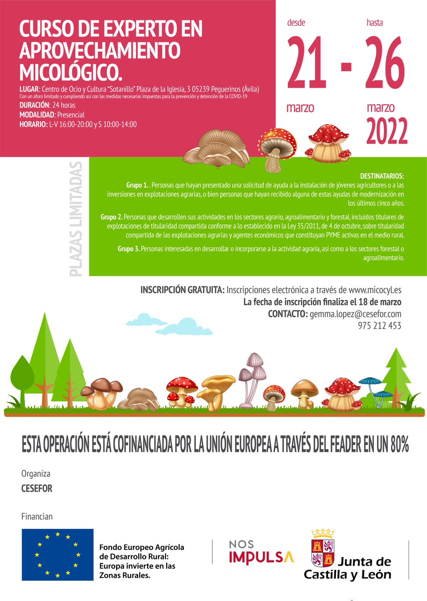 Os dejo el Curso de Experto en Aprovechamiento Micológico que se celebrará en Peguerinos (Ávila) del 21 al 26 de Marzo. Las Inscripciones son GRATUITAS a través de <a href="/micocyl/">Programa Micocyl</a>. El formato es presencial con clases teóricas y práctica de campo. Disfruta del entorno del <a href="/PNGuadarrama/">Sierra de Guadarrama</a>