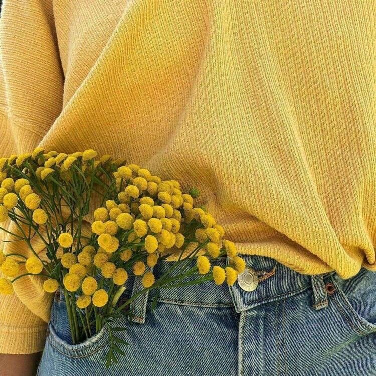 Be the sunshine in someone’s life today☀️