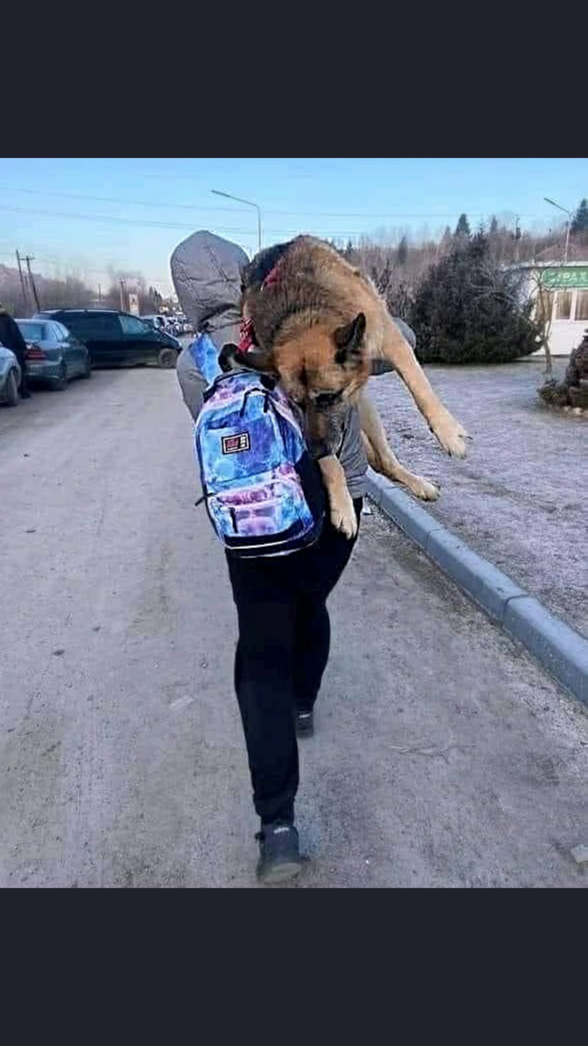 ROMAN VERA, Carme (@carmeromanvera) / X