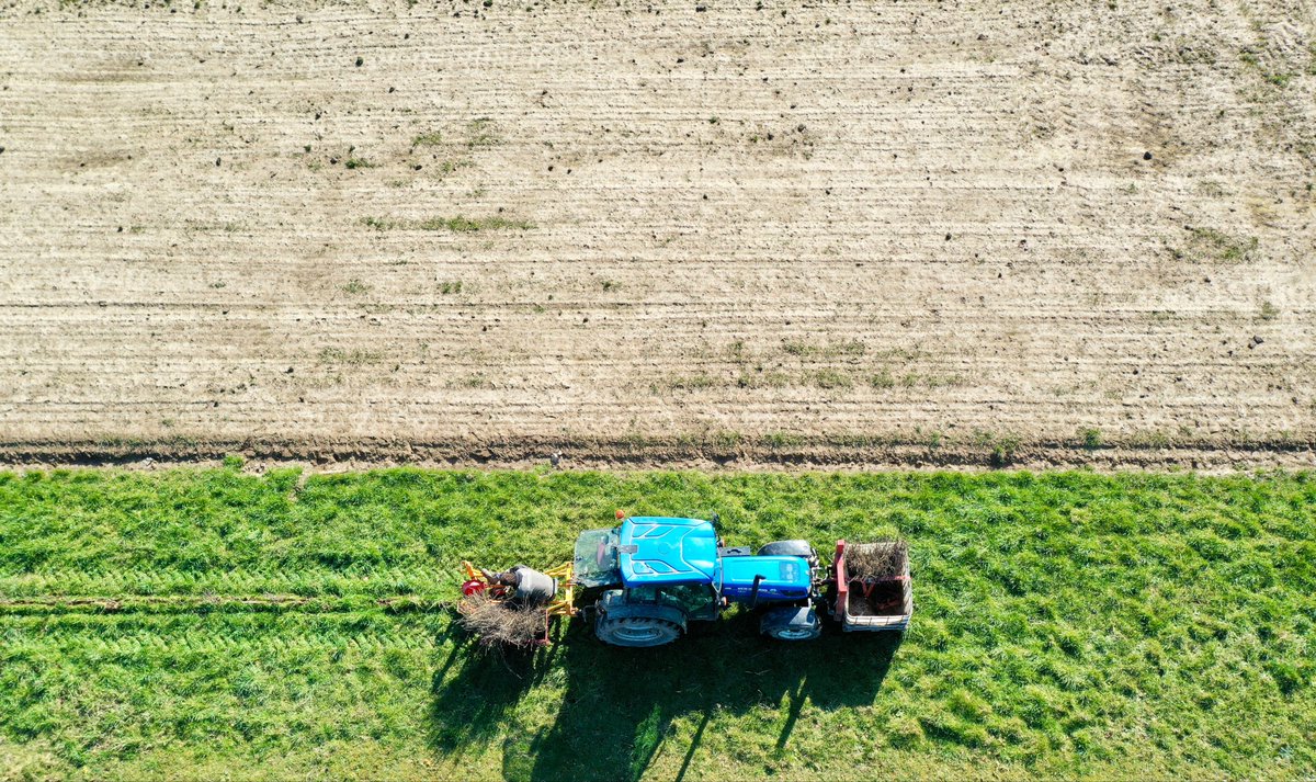 larsvanpeij's tweet photo. Niks zo mooi als heggen terugplanten waar ze vroeger stonden. 🙂 Ook de eigenaar was heel blij dat we dit voor ze konden doen. Ernaast ligt een net ingezaaide kruidenrand. https://t.co/HguOOPrRPW https://t.co/hVmJ4E12Rh