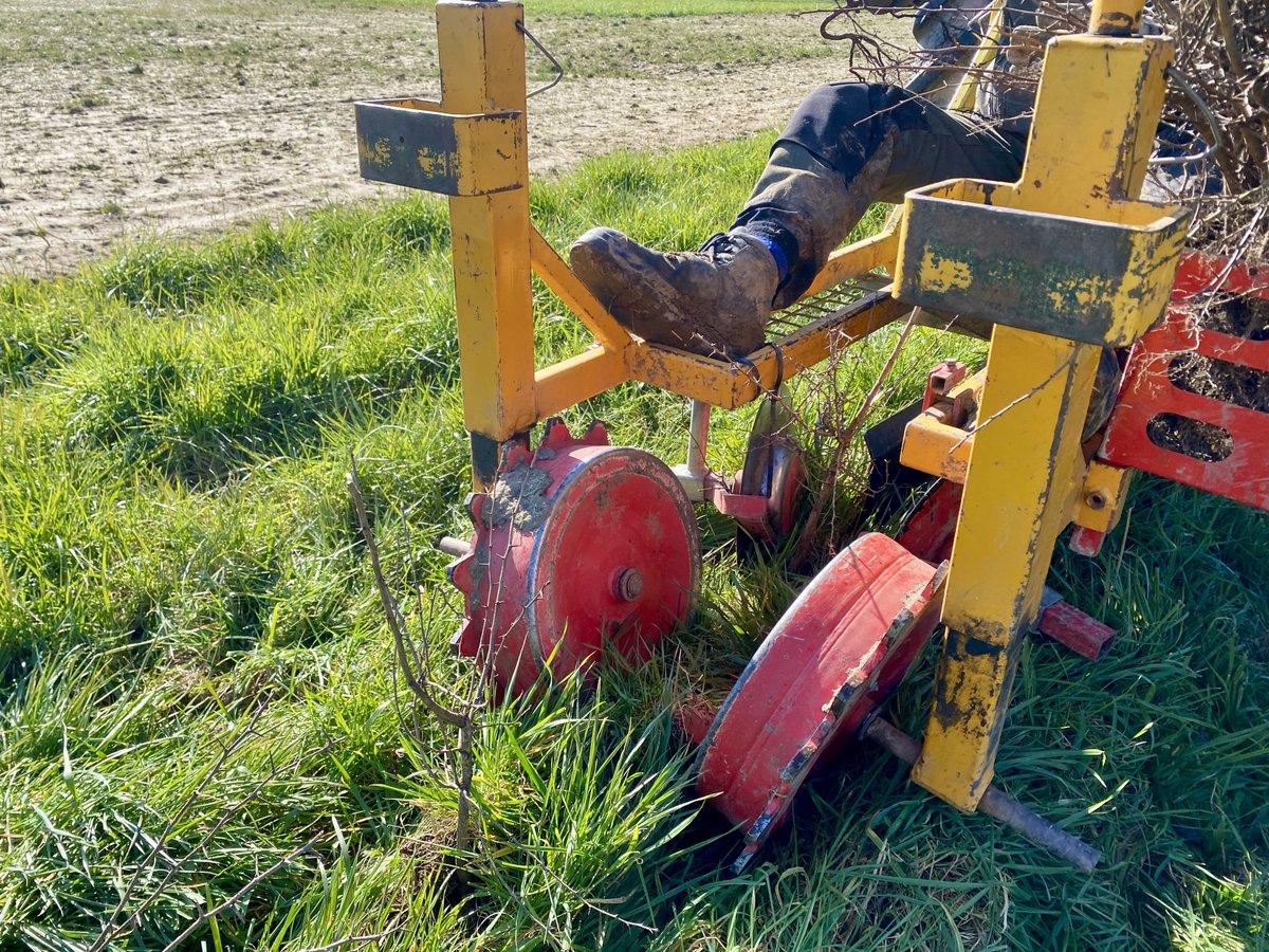 larsvanpeij's tweet photo. Niks zo mooi als heggen terugplanten waar ze vroeger stonden. 🙂 Ook de eigenaar was heel blij dat we dit voor ze konden doen. Ernaast ligt een net ingezaaide kruidenrand. https://t.co/HguOOPrRPW https://t.co/hVmJ4E12Rh