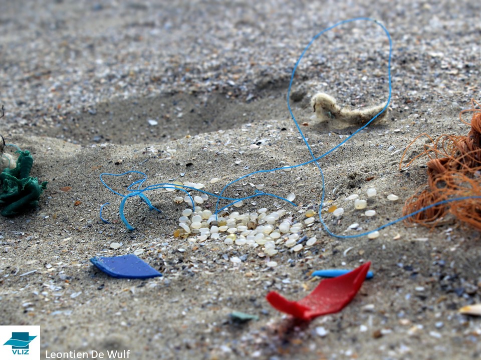 LisaDevriese's tweet photo. We need your help with the stakeholder survey on #PlasticAdditives!
Three expert groups @ICES_ASC (WGML, MCWG, WGBEC) want to gain insight into the knowledge & awareness about plastic additives in marine environments.
👉 Survey (10-15min):
https://t.co/5CW3ChQG4e
Many thanks 🙏 https://t.co/VFkZdsCnPy