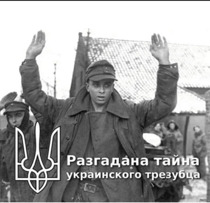 Сергей (@ibw7uws1c6b026a) on Twitter photo 