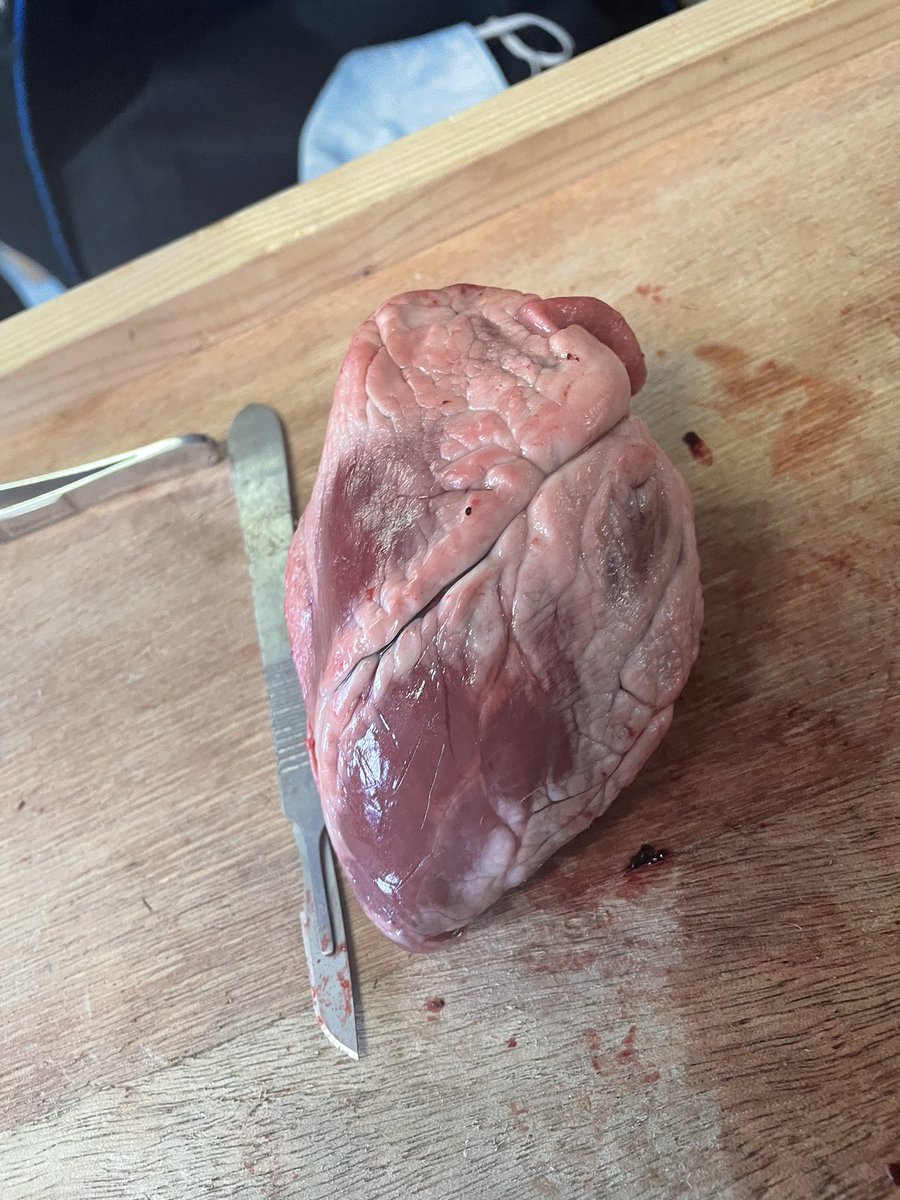 SLG Biology Dept. tweet media