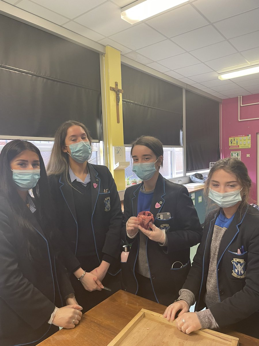 SLG Biology Dept. tweet media