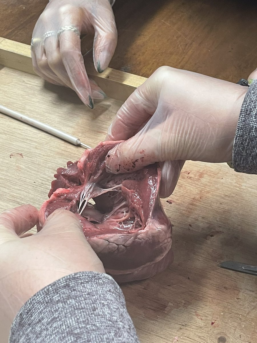 SLG Biology Dept. tweet media