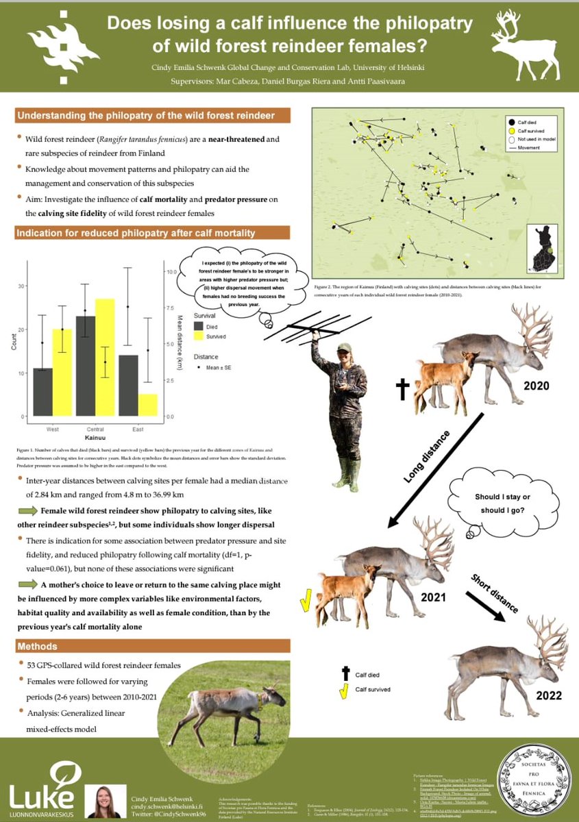 GCCGtweet's tweet photo. 📢Check out the award winning poster of @CindySchwenk96 on wild #ForestReindeer, philopatry and calf mortality!
#SpringS22 #Finland  #rangifertarandusfennicus #Metsäpeura https://t.co/lZisIDZknh