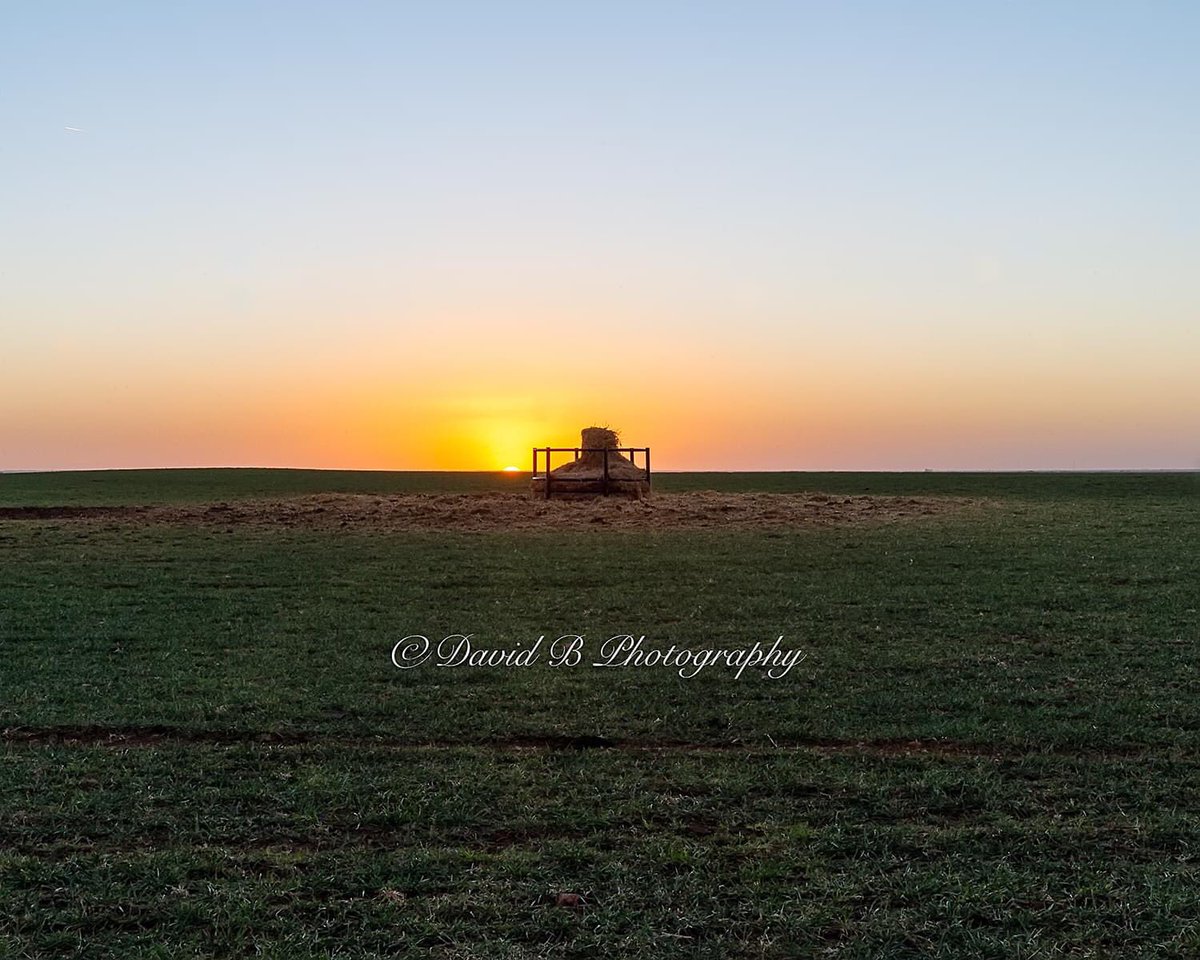 davidbimages's tweet photo. Those who wander are not always lost.  #oklahomaplains #dirtroads #backroads https://t.co/1VfRmTmd9i