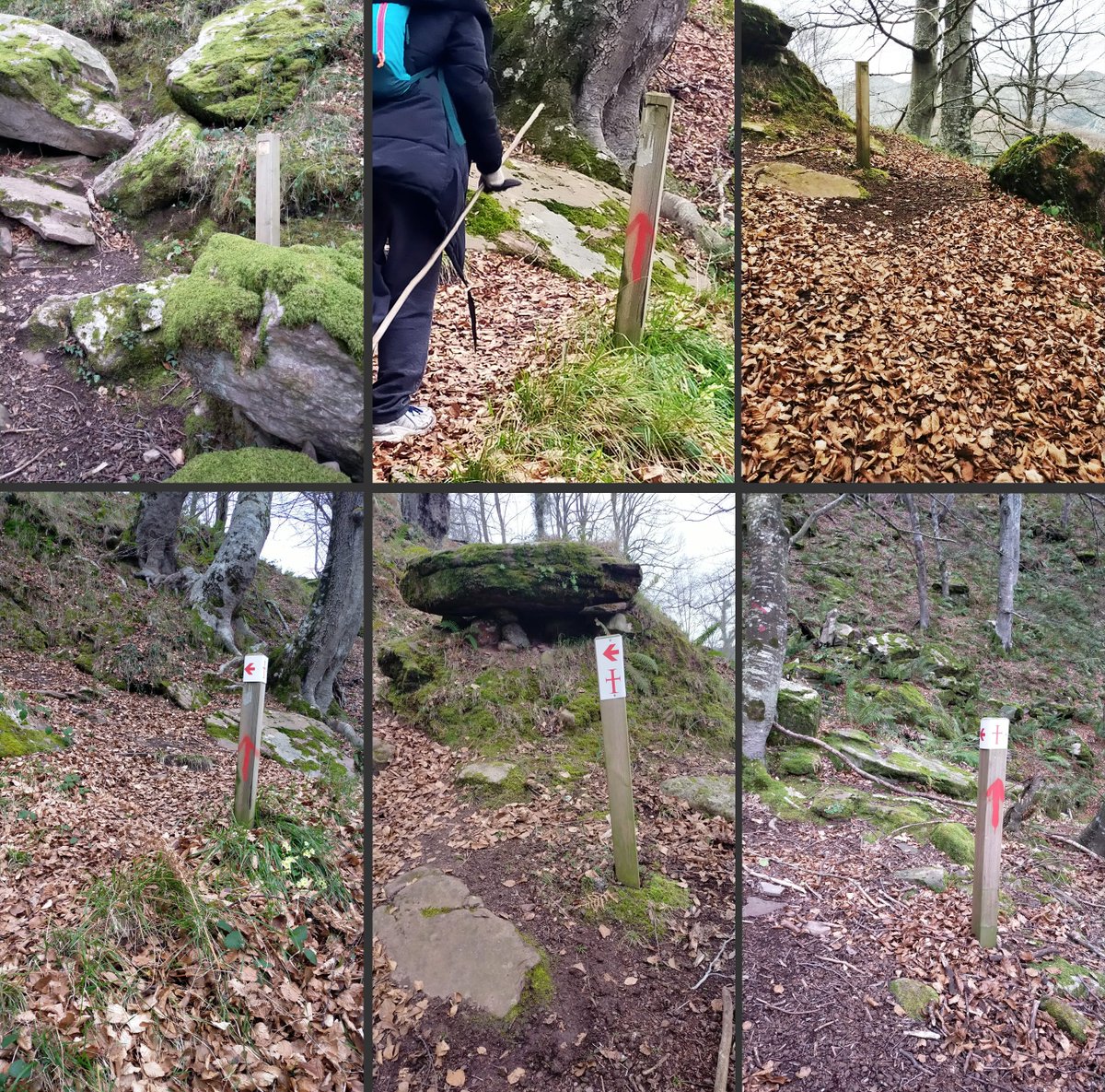 Camino Lebaniego tweet media