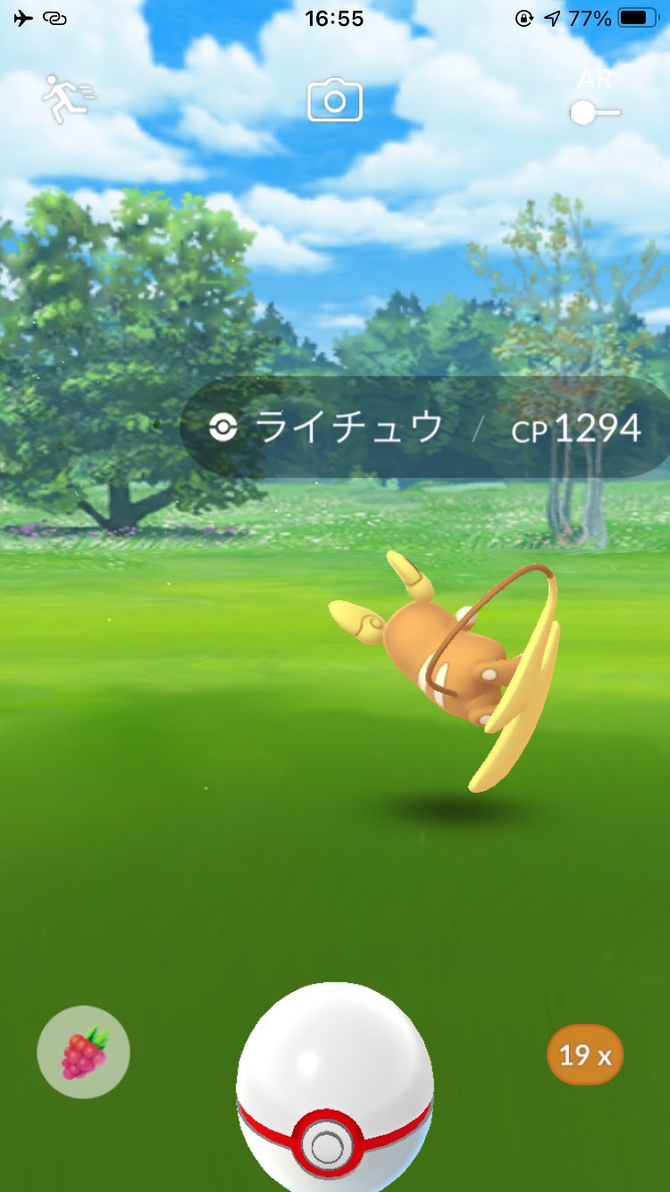 アローラライチュウ Twitter Search Twitter