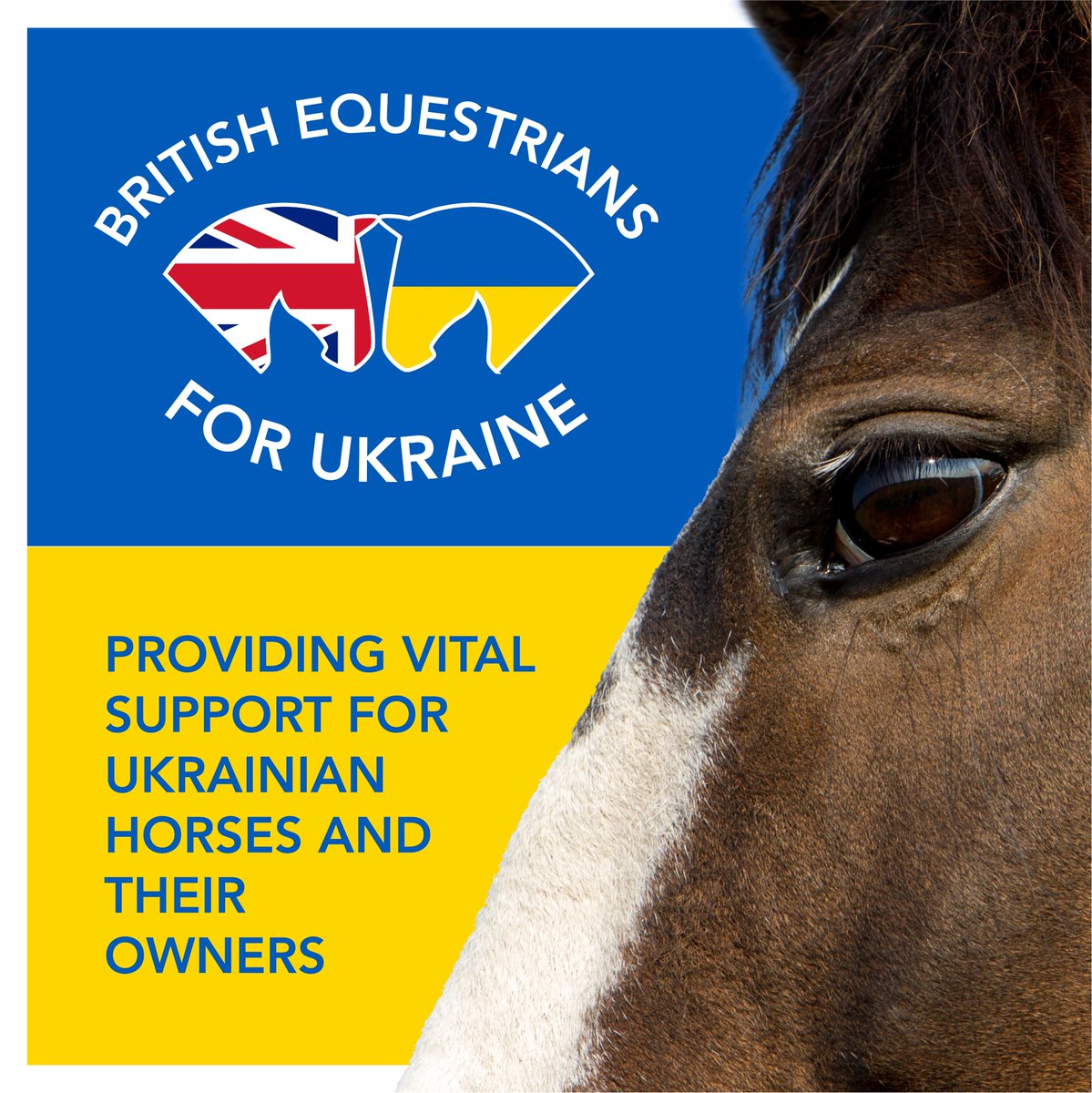 seechangenow2's tweet photo. Could you help provide vital support for Ukrainian horses and their owners?  

Even small donations count. This is an urgent appeal  led by @betaequestrian @BritishHorse @HorseCharity 

Click on links to discover how easy it is to make a difference. https://t.co/Yx87mKooUw
