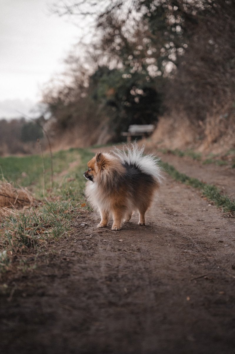 BUBBLES ♀ tweet media