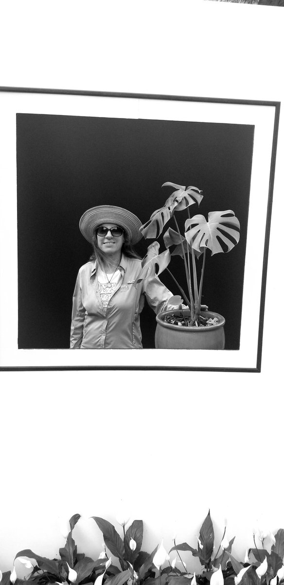 #selbygardens