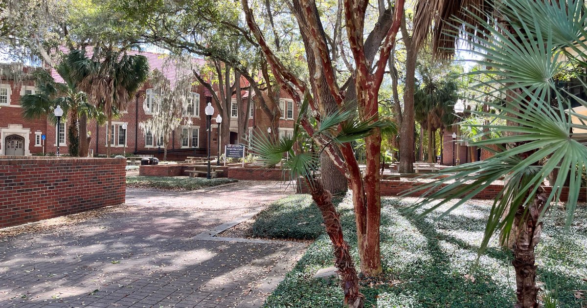 ufalumni's tweet image. ⁣That feeling you get during spring break. ⠀
⠀
#SpringBreak #EmptyCampus #GatorNation