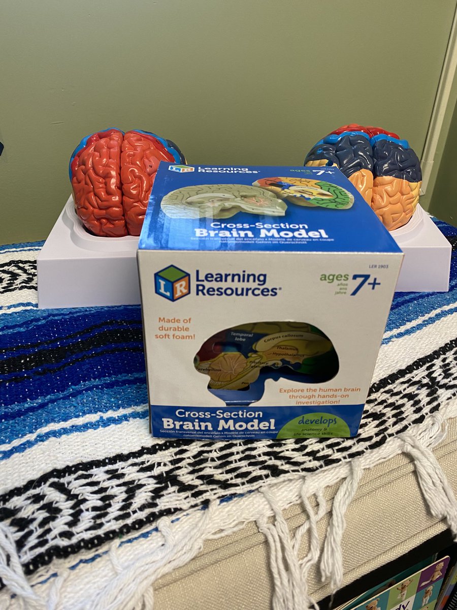 DrVentresca's tweet photo. Thanks to a grant from @DupontNutritionalBioscience now (IFF) our @WestParkPlaceES pandas will learn about the brain and #self-regulation! #brainbased #RileytheBrave @ChristinaK12 #ChristinaStrong @JessicaSinarski https://t.co/GrKgSzN99j