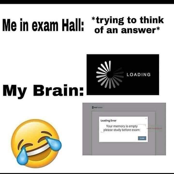 😂😂🤭