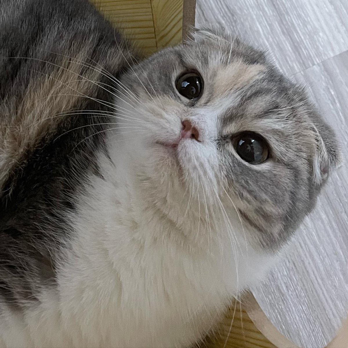 อิ่มข้าวว