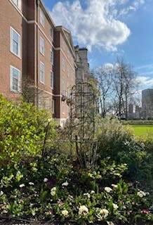 middletemple tweet picture