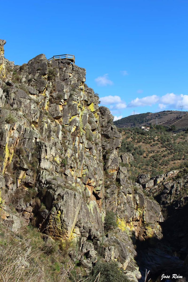 Jose_Ram_'s tweet photo. Maravillas de España y Portugal (Facebook)
Mirador do río Varosa
Sande - Lamego 06-03-2022
#Varosa #lamego #portugal #maravillasdeespañayportugal https://t.co/evOhvDqU6c