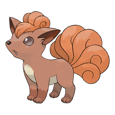 guororororoi's tweet photo. Si el presidente Boris es un Squirtle, ¿qué pokemon sería cada ministr@? Camila Vallejo = Vulpix https://t.co/D6VRAptrBs