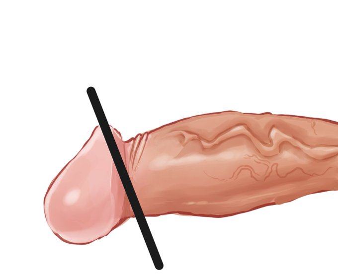 うずちんちんリアル 