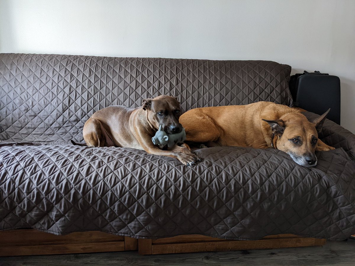 Eric T. Costello tweet media