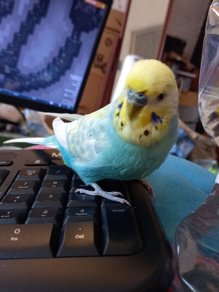 hey, uh...you got any treats?