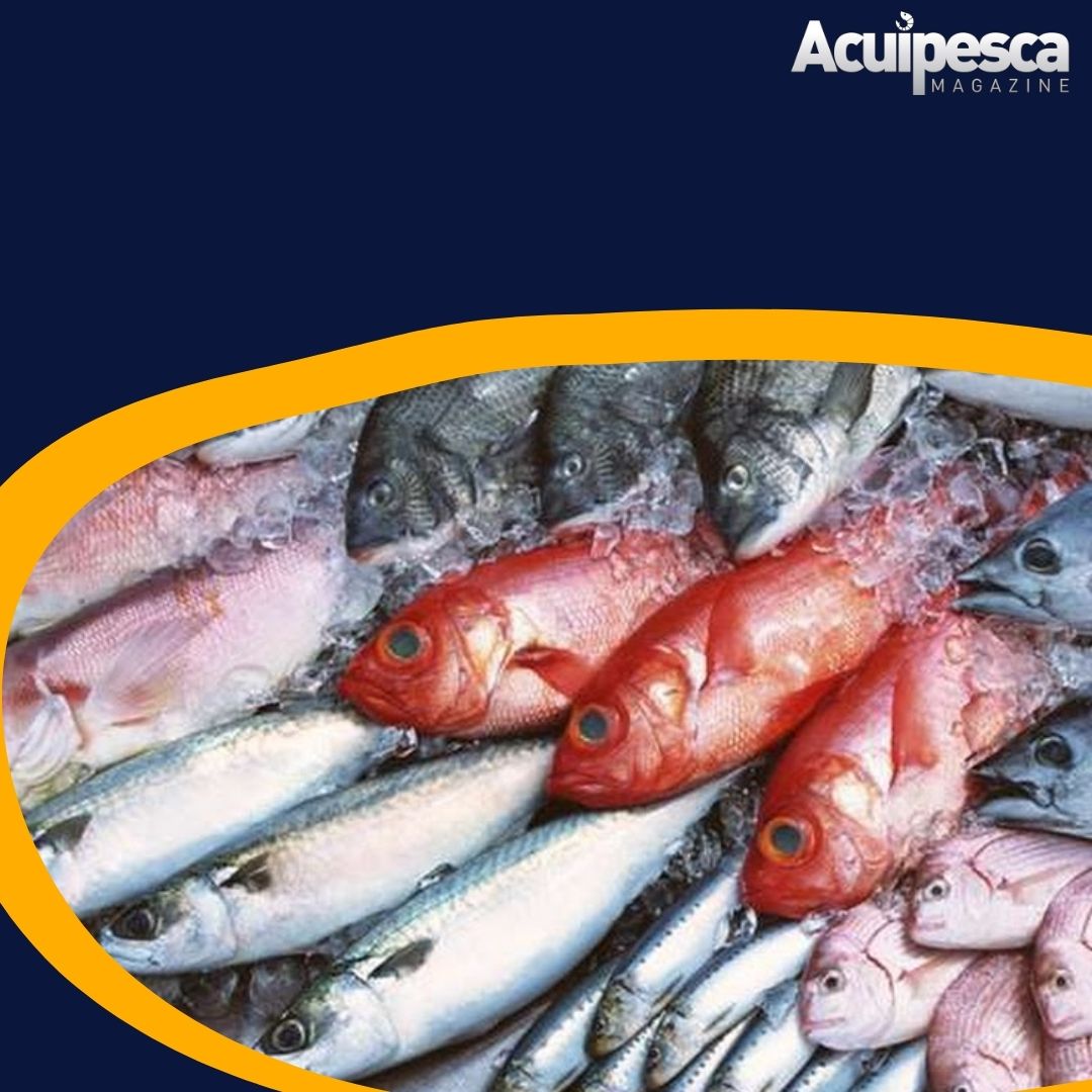 Sector pesquero y acuícola venezolano superó de forma satisfactoria las metas establecidas durante el año 2021, con 234 millones de kilos producidos