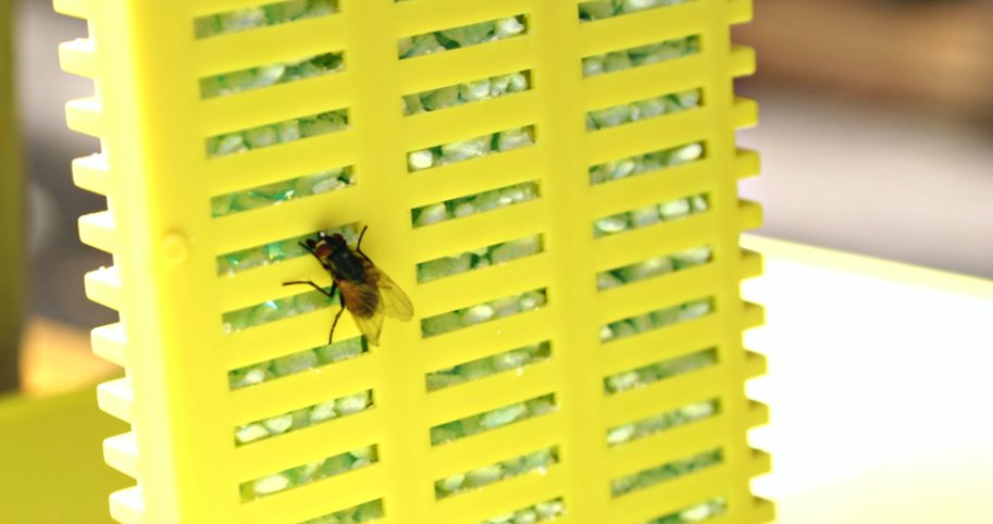 StarbarProducts's tweet photo. With an Integrated Pest Management (IPM) Program in place, you can ensure success in #flybait application and better understand your fly control problems. To maximize your #fly control efforts, we put together a few tips for applying fly baits. #Starbar https://t.co/628Sh6PXh1 https://t.co/goJMXhOTrl