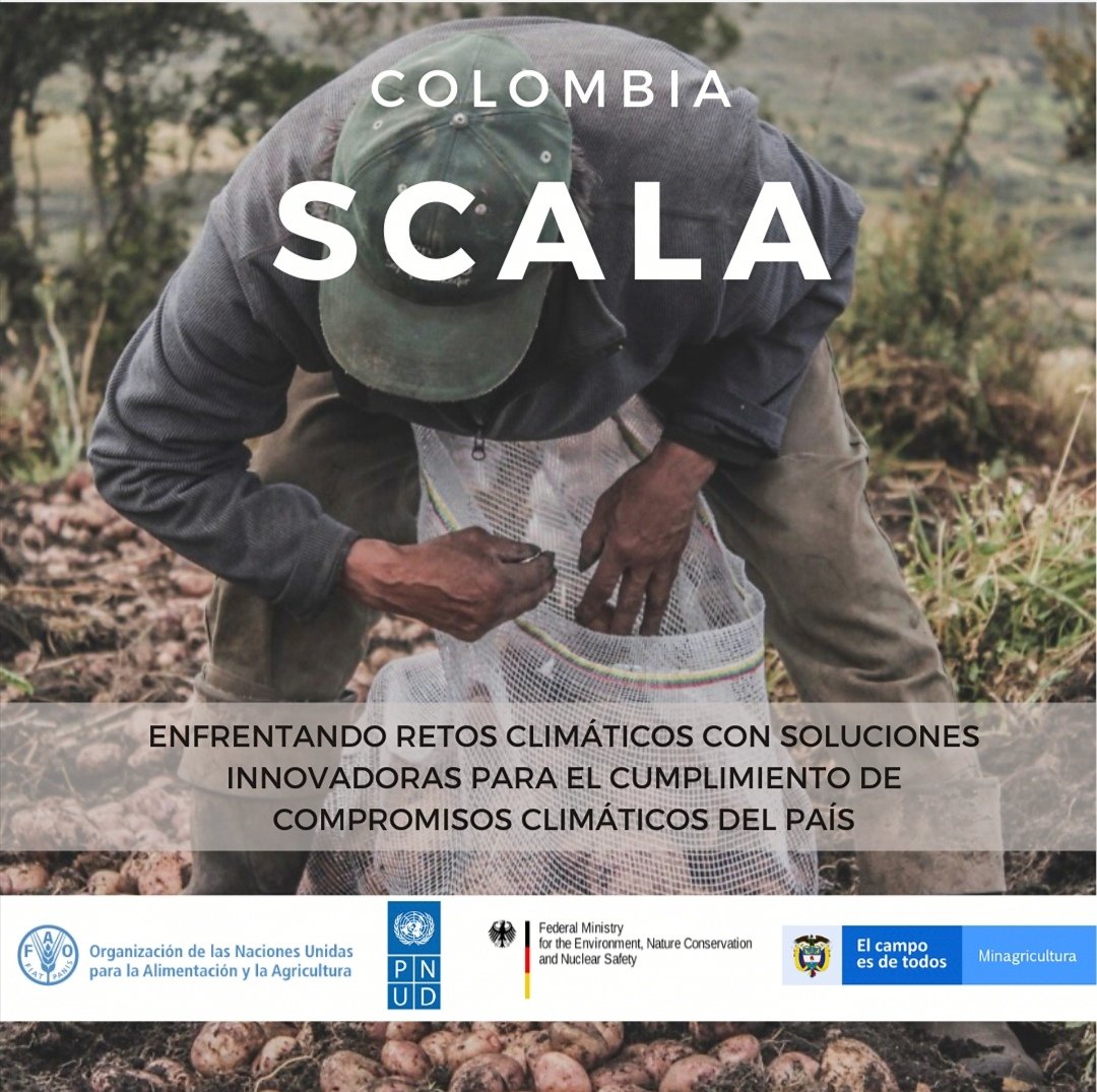 PnudColombia's tweet photo. Colombia es un país altamente vulnerable a los efectos del cambio climático. Por eso #hoy lanzamos #SCALA, para apoyar la aceleración de la acción climática del sector agrícola de Colombia y fortalecer la seguridad hídrica y alimentaria, en los páramos de #Chingaza y #Sumapaz. https://t.co/KYLF11TEst