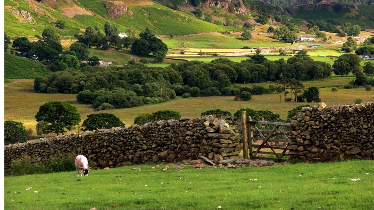 HotelBreaks's tweet photo. All Inclusive Hotel Breaks in Cumbria 
Ennerdale Country House Hotel, Cleator
2 nights' bed and breakfast
Lunch &amp; dinner
Unlimited drinks (see deal for offer details)
from £169.00 per person for 2 nights
https://t.co/zN1hA0s3W1
(random photo) https://t.co/NXIXAhMstY