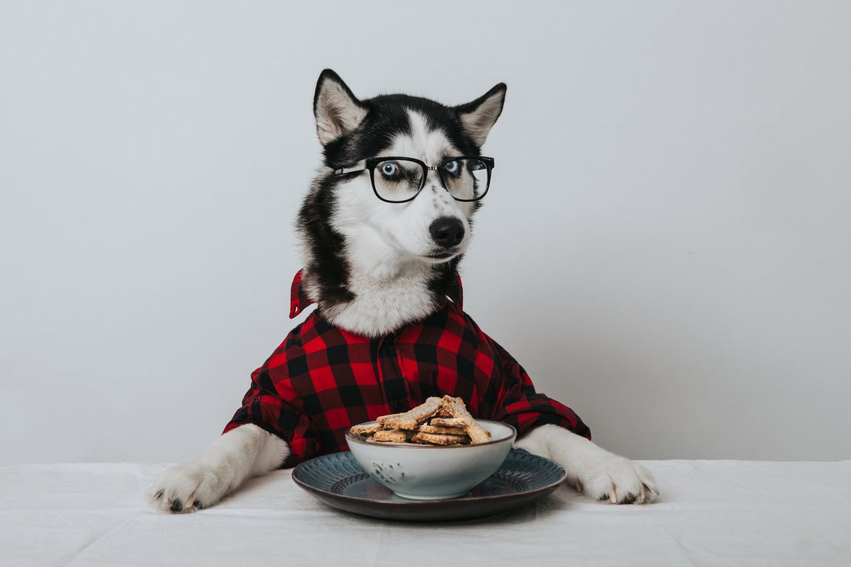 MTU Engineering tweet media