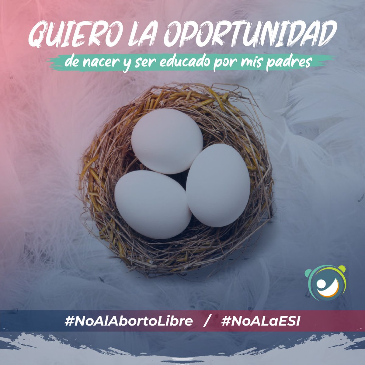 Aborto como derecho constitucional significa que el Estado no brinde ninguna otra oportunidad a nuestros niños frente a un embarazo no deseado que la #muerte Los padres 💪queremos educarlos en la #Vida y  de acuerdo a nuestras creencias #NOalaESIenlaCC #noalaborto #FelizJueves 🇨🇱
