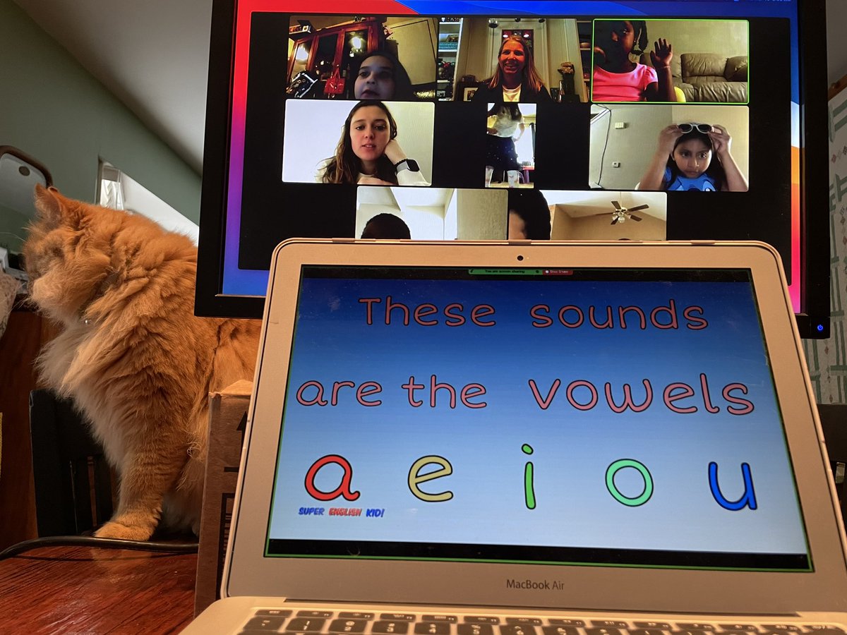 tchjje's tweet photo. When AMI interferes with my cat’s plan to sleep in the box under my monitor… https://t.co/xzJmkg4DnD