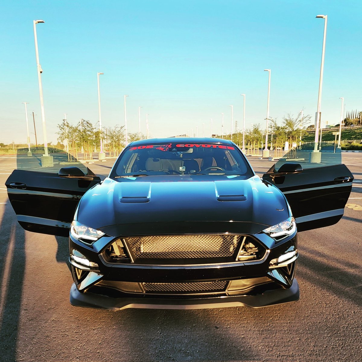 Spreading her wings! 💯