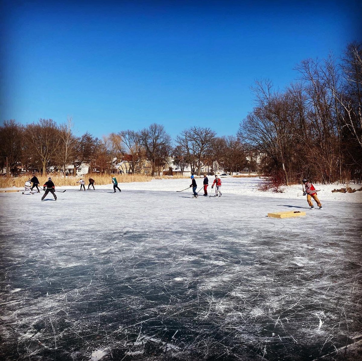 kanebenjamin_17's tweet photo. Spring is great, but I’m missing pick-up pond hockey https://t.co/xUxT9h3YiJ