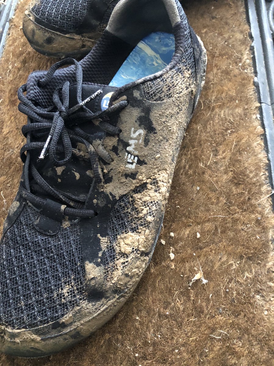 andrewbishup's tweet photo. My Lems Shoes survived helping push a van that was stuck in mud. Grab your Lems today at the link below! π
https://t.co/QycuYZE6lD
#Lems #LemsShoes #Shoes #style #fashion https://t.co/SiGZR0OAIT